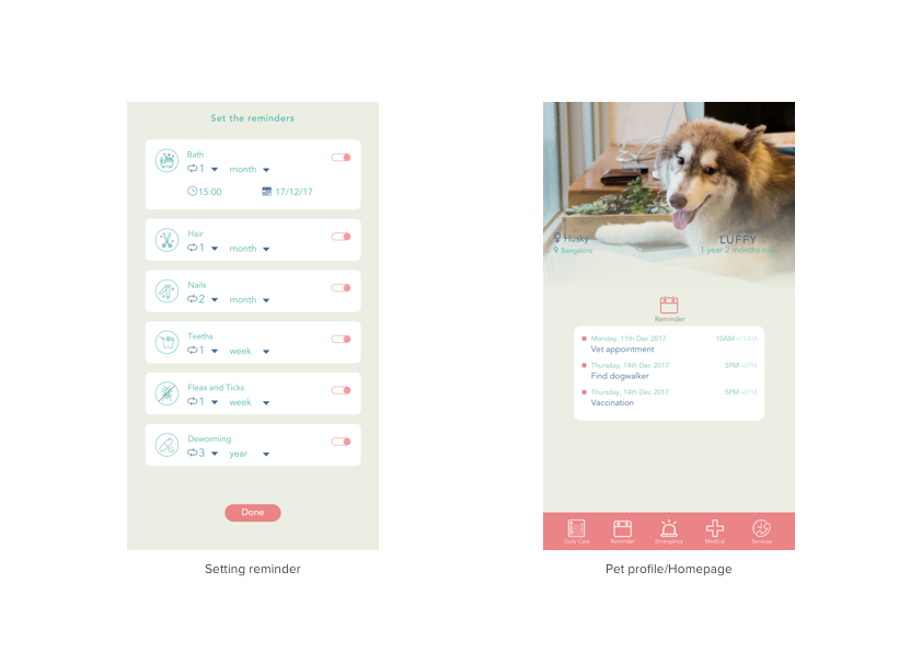 pet care app Service design health care