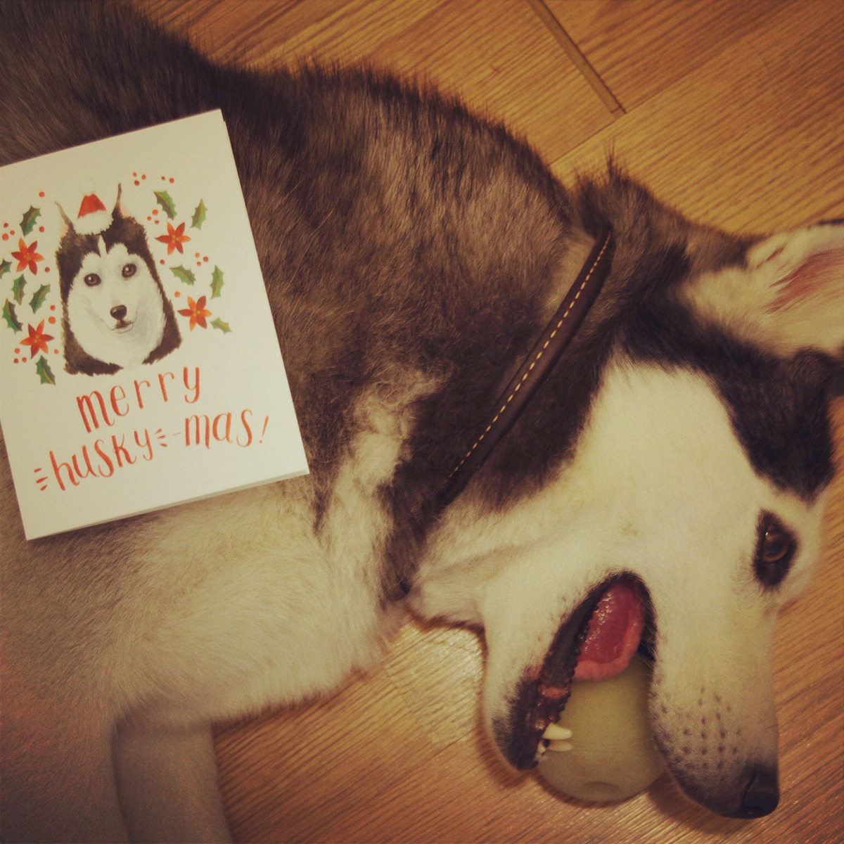 gouache card Holiday Christmas HAND LETTERING dog Pug husky