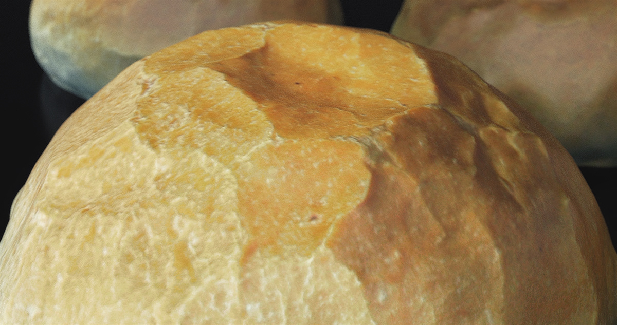 Photorealistic Bread