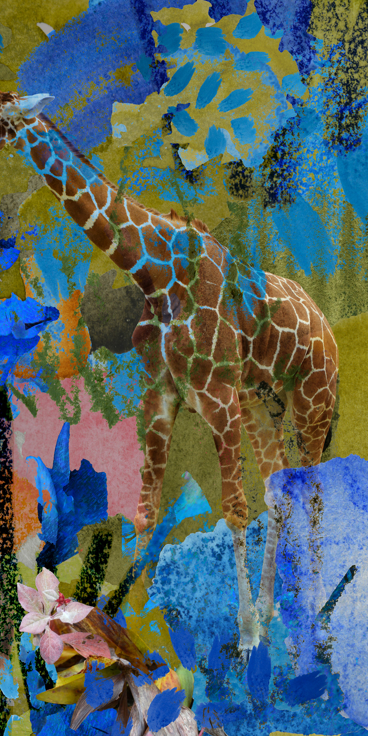 animals Digital Collage digital painting figures and landscapes Landscape Photography  photomontage surrealism zoo photocollage