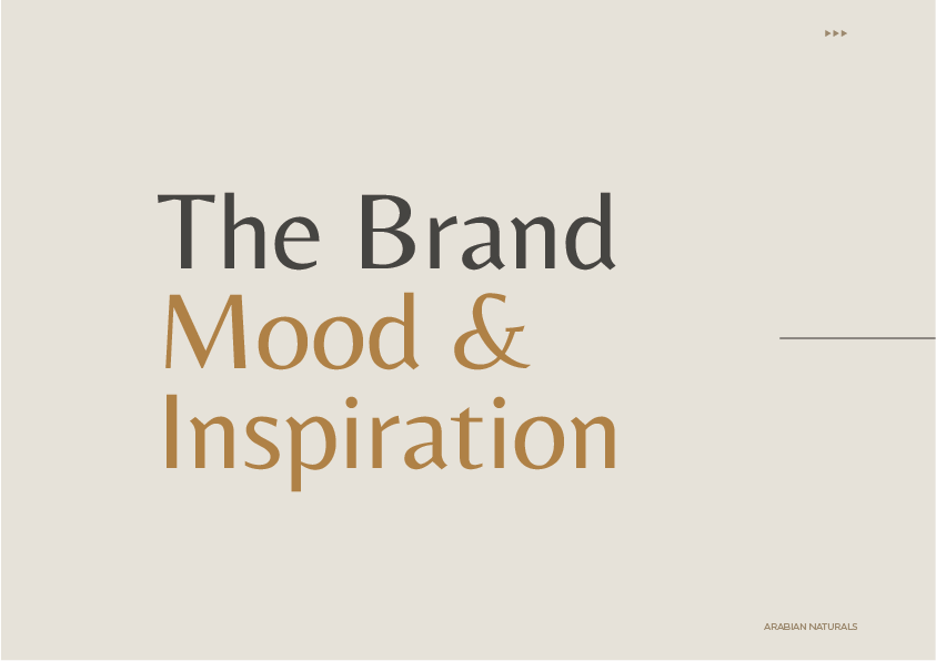 Brand Design brand identity branding  cosmetics guideline identity Logo Design Logotype Manual branding typography  