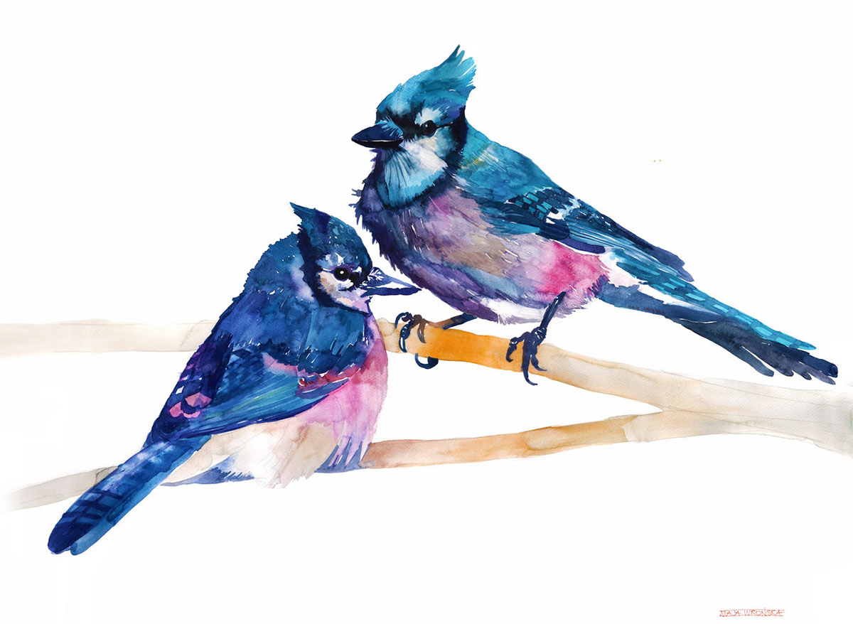 bird birds watercolor majawronska maja wronska takmaj Architectural watercolors watercolour watercolors cute colors