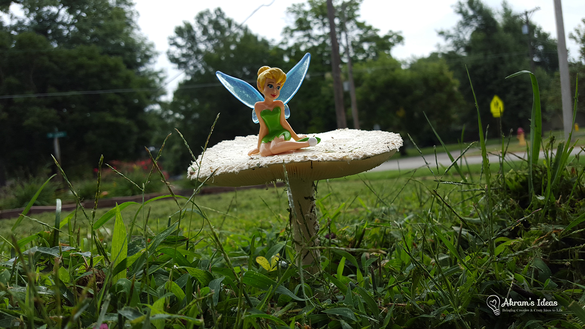 photogprahy smart phone Samsung Galaxy s6 tinkerbell fairy mushroom