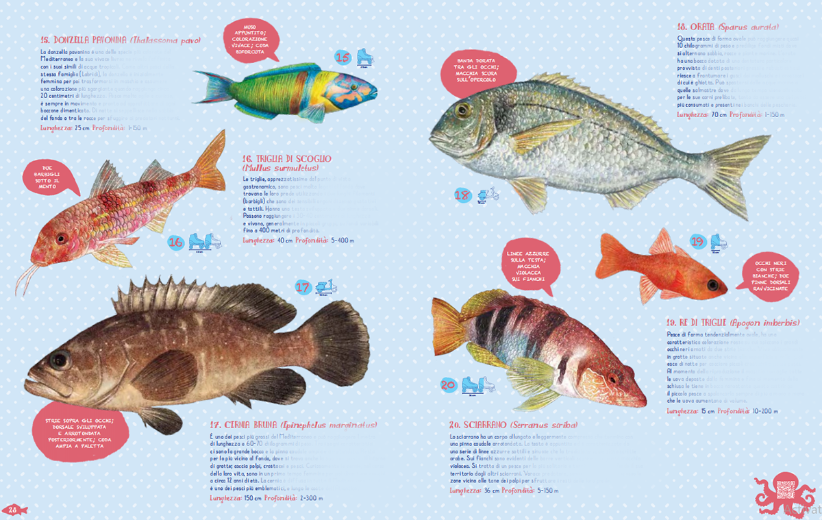 animal children illustration children's book Digital Art  digital illustration fish fishes Nature Ocean Picture book