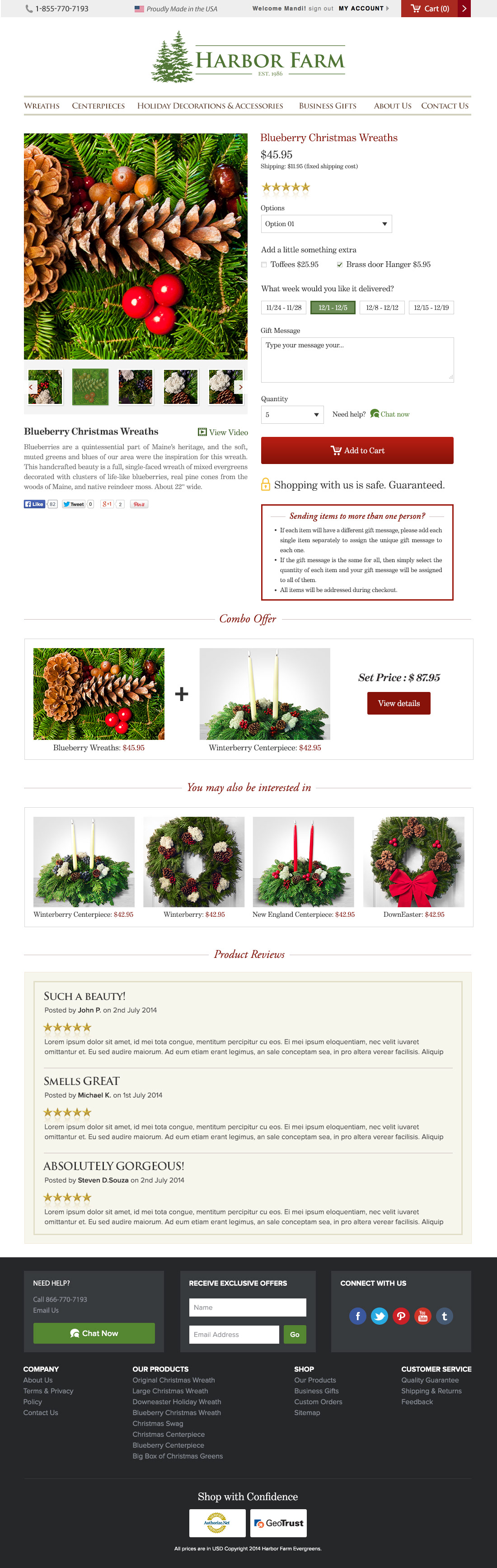 Christmas Webdesign E COMMERCE product Shopping online shopping