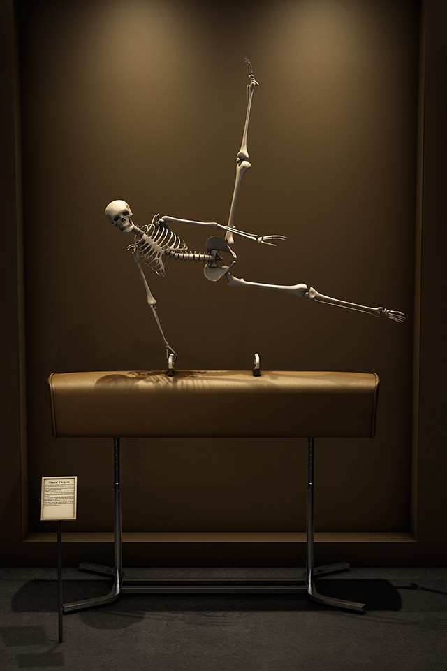sports skeleton discovered museum 3D environment humanity