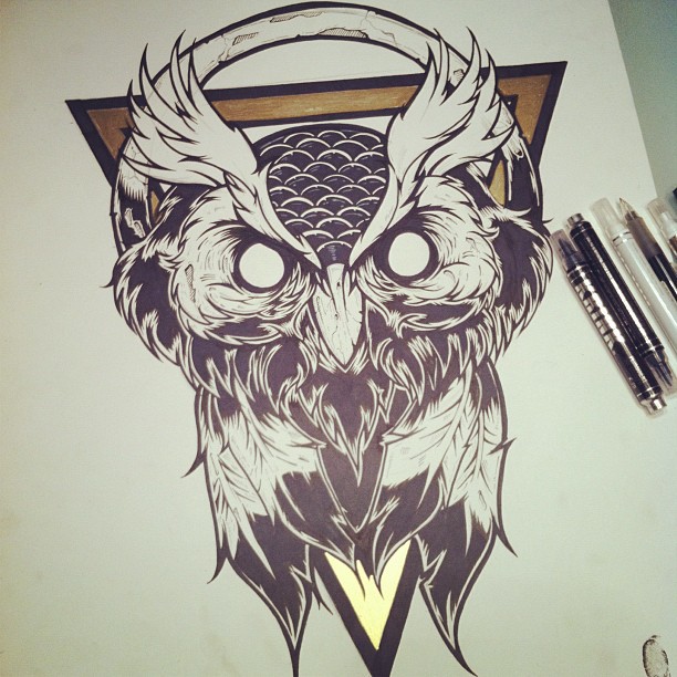 hydro74 owl time lapse markers