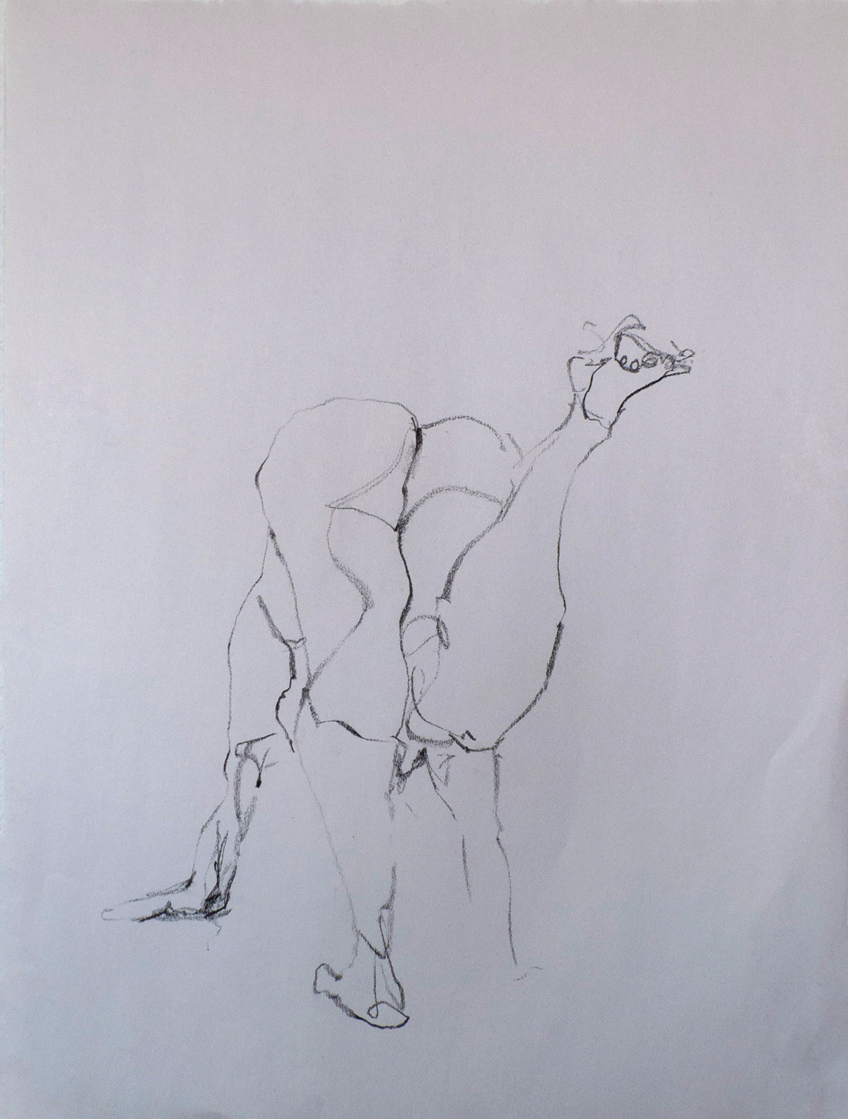 linequality lifedrawing lines movement charcoal