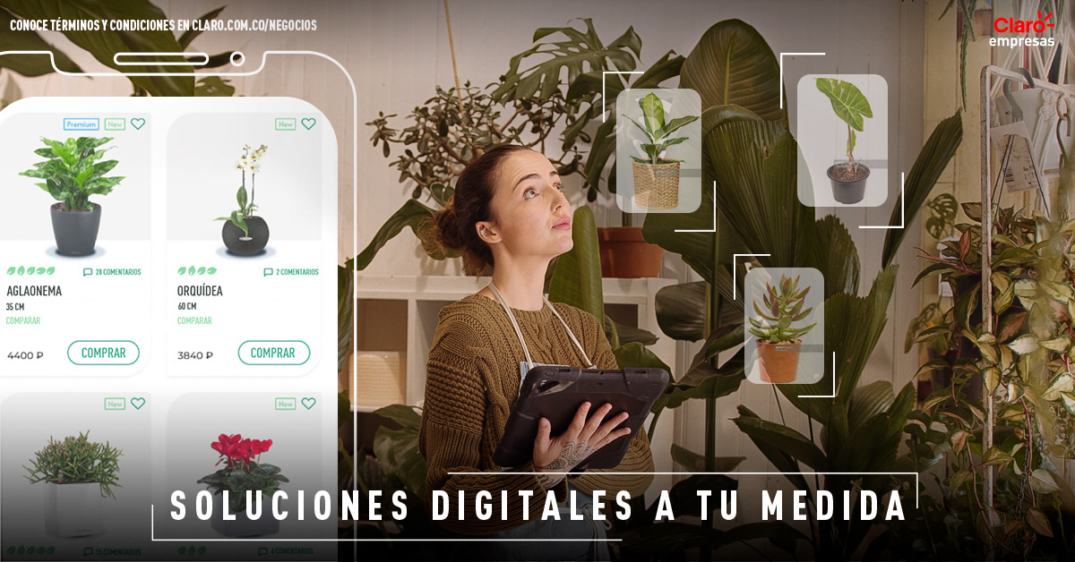 tech campaign claro digital phone Internet Ecommerce colombia mobile b2b
