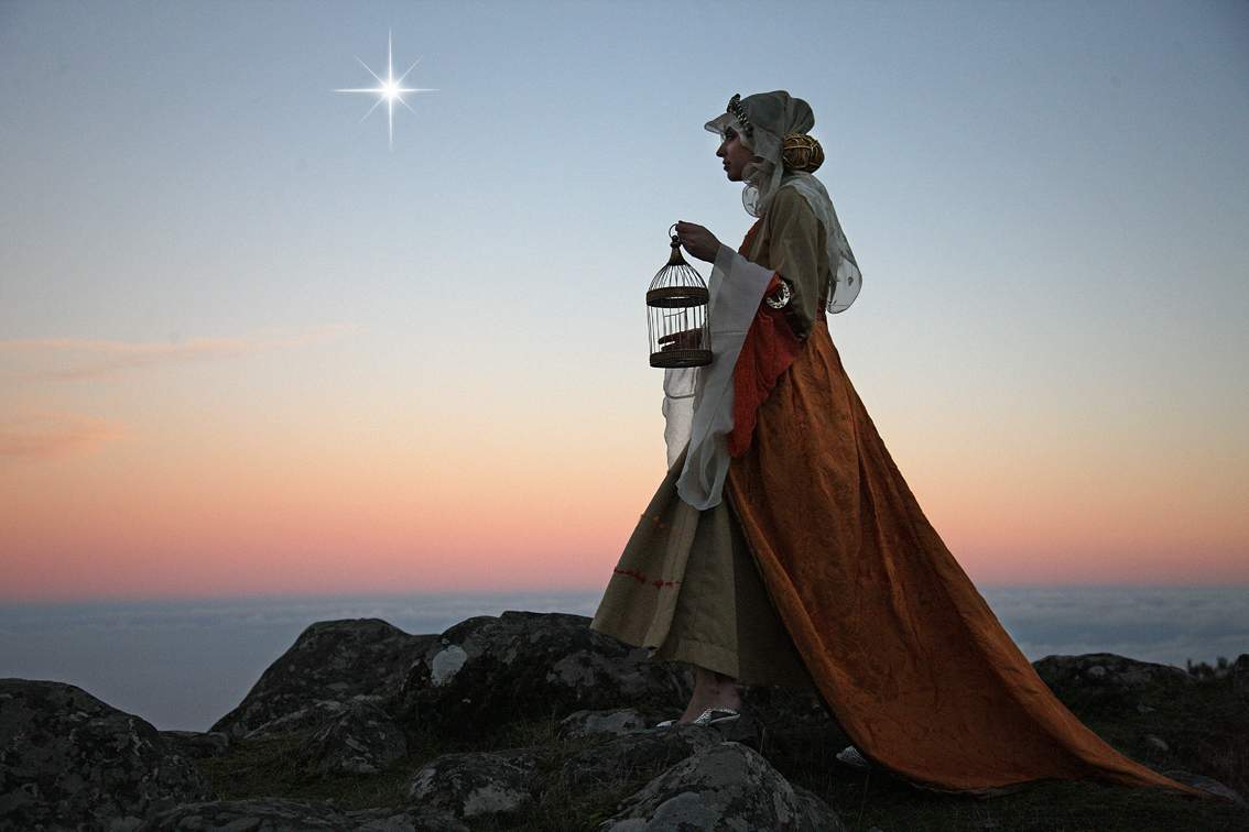 Christmas star Lady Chasing beauty tale