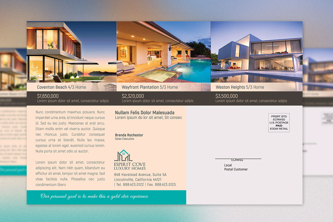 Eddm Postcard Template