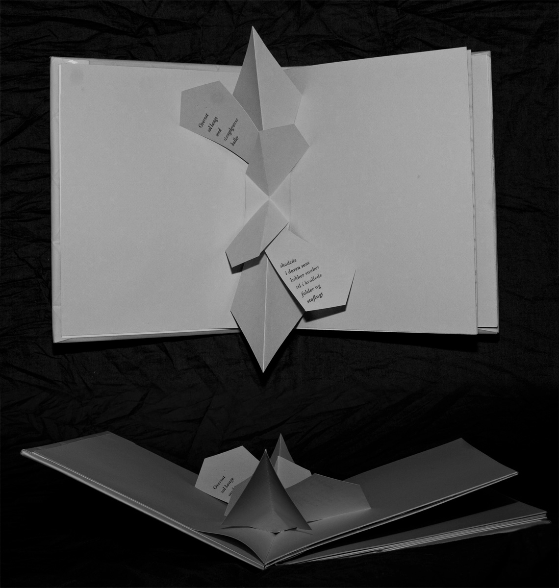 book Popup pop-up origami  paper fold Poetry  design kirigami kirie