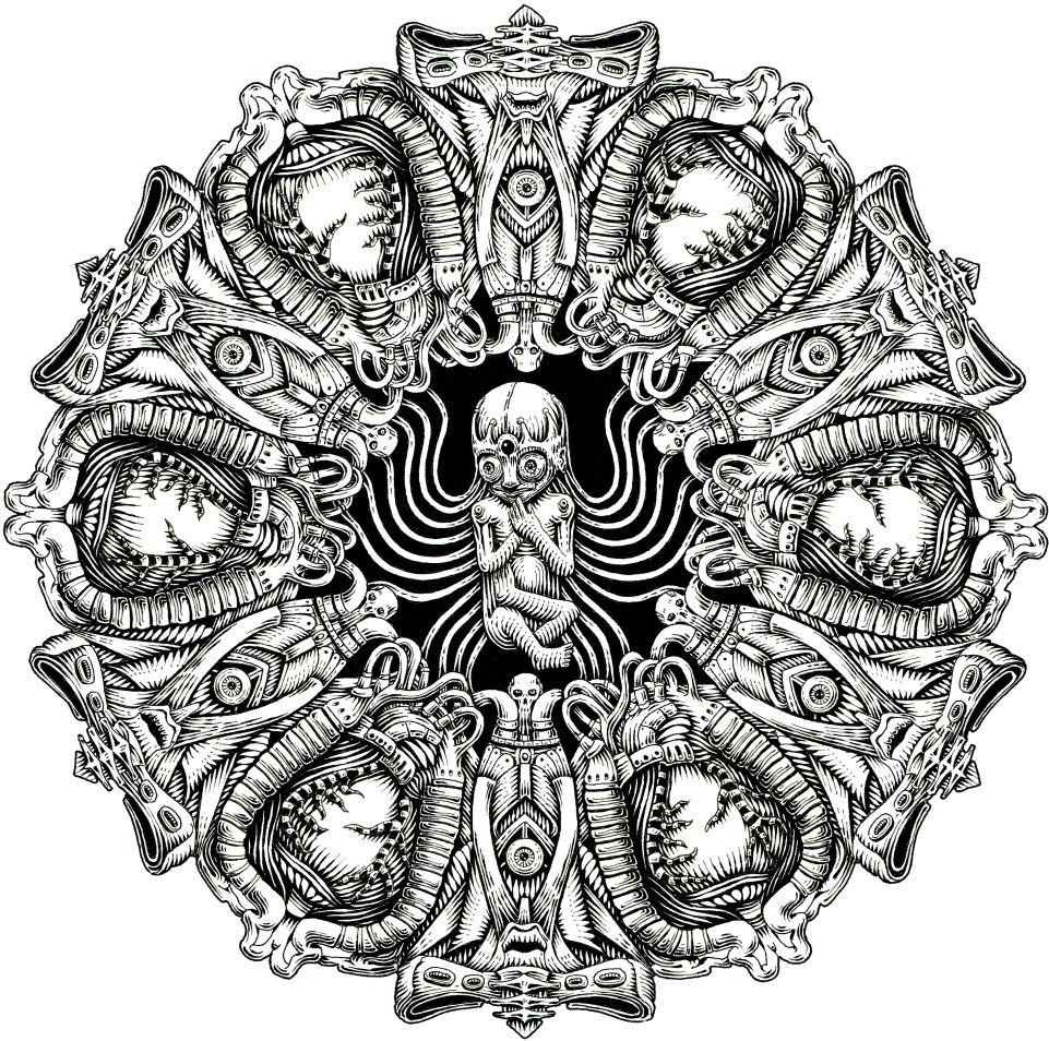 Mandala art ILLUSTRATION  ink Nature