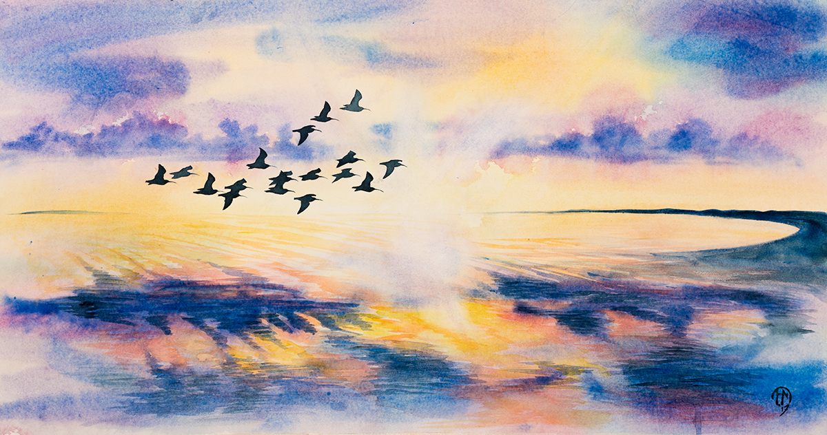 Adobe Portfolio bird bird painting Curlews fågelmålning fåglar fågel storspov SPOV laholmsbukten solnedgang sunset