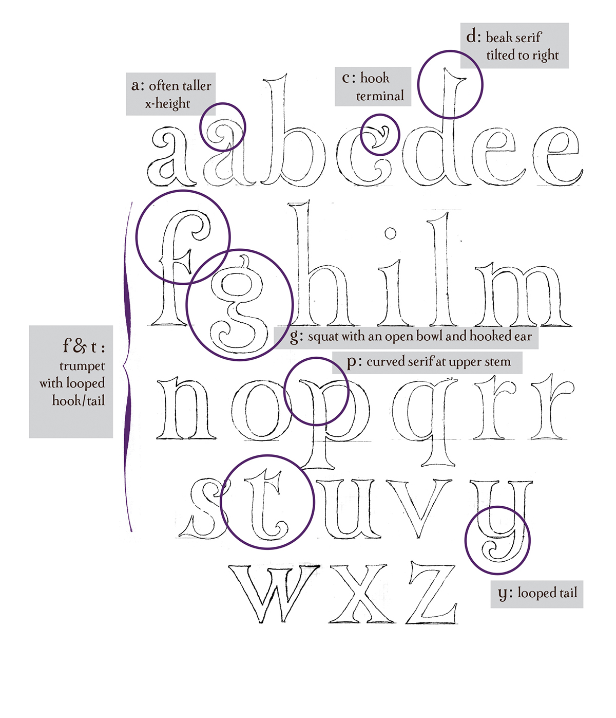 typeface design typography   graphic design  ILLUSTRATION 