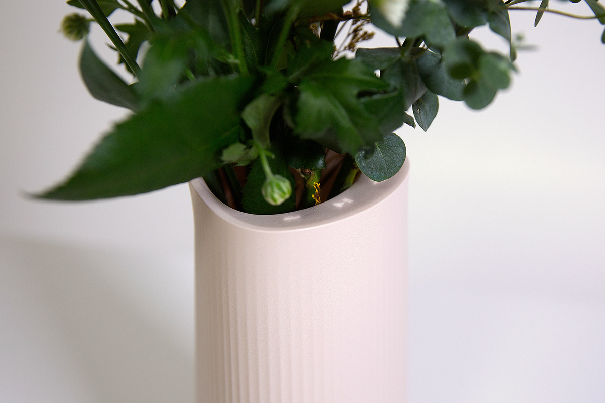 digital electronic Flowers industrial design  Interior Photography  plants product speaker Vase