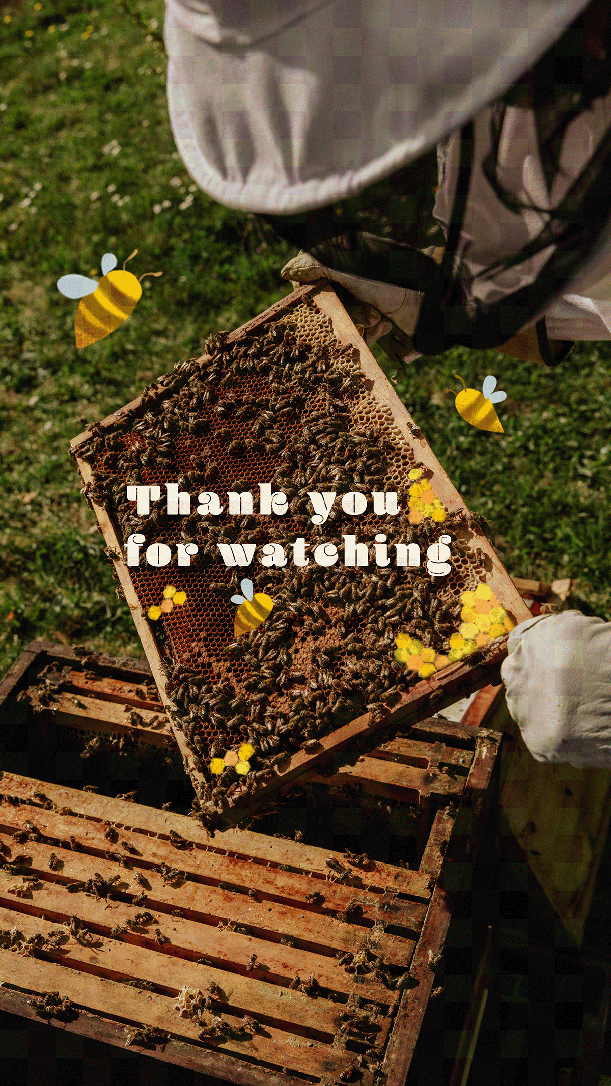 honey brand identity Packaging ILLUSTRATION  Graphic Designer Brand Design Advertising  Socialmedia natural beekeeping