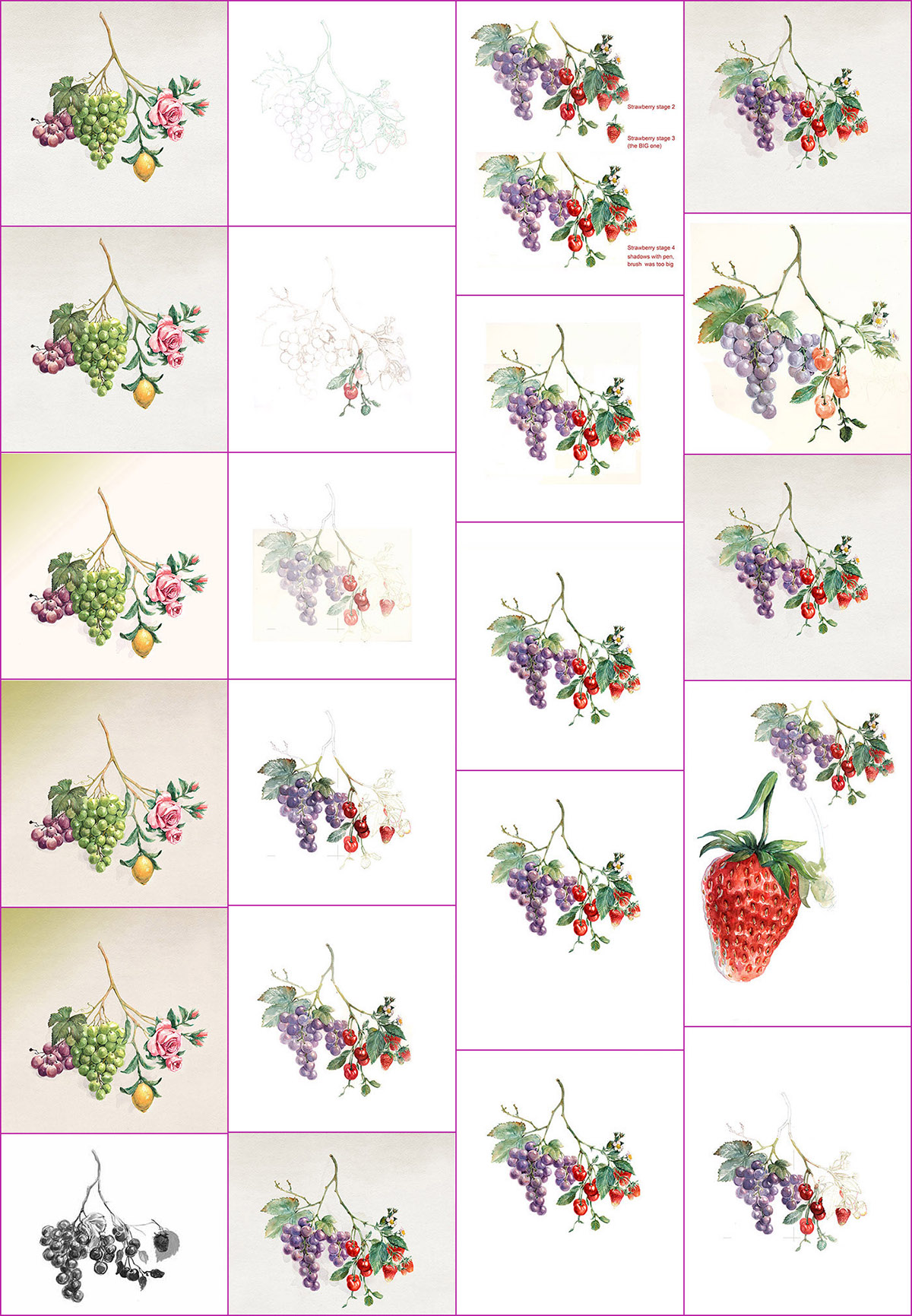 watercolor lettering wine grapes rose lemon strawberry cherry Flowers