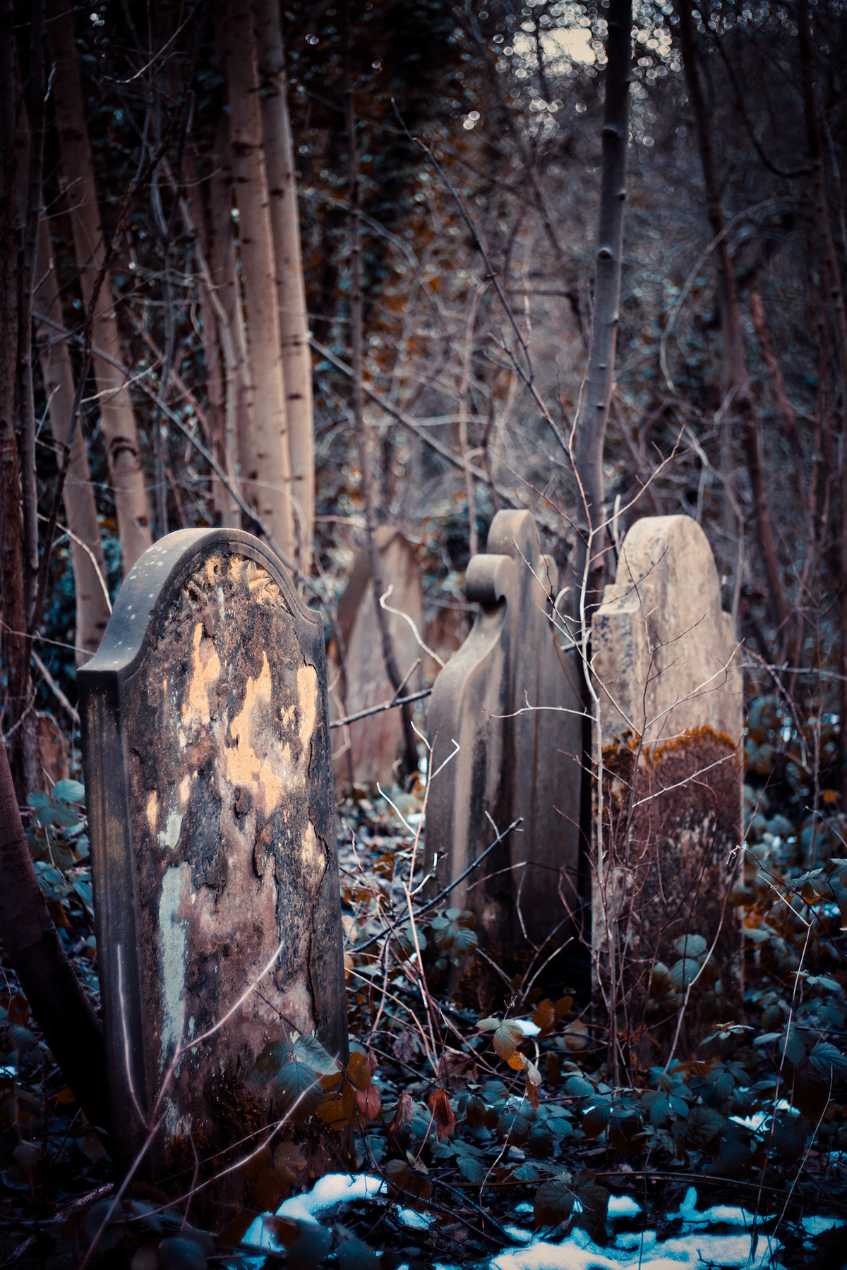 cemetery  Graveyard st pancras islington death rest peace tombstone old decay rickyshitpants end solitude memento mori atmosphere  still