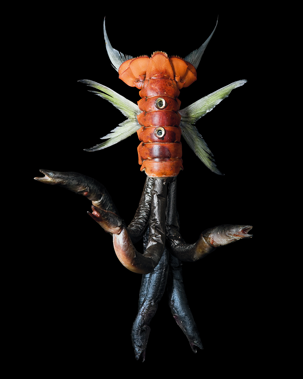 Adobe Portfolio damian  VanCamp risd New York sea monster biology Food  fish fear psychology Ocean creative Icon creature design Culinary