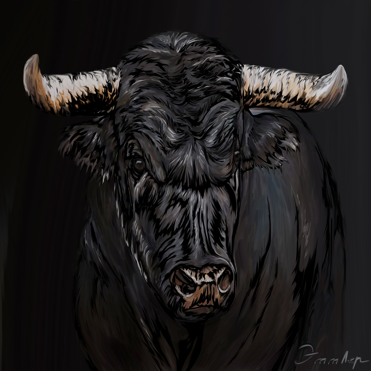 Digital Art  bull wacom tablet photoshop ILLUSTRATION  bullfight