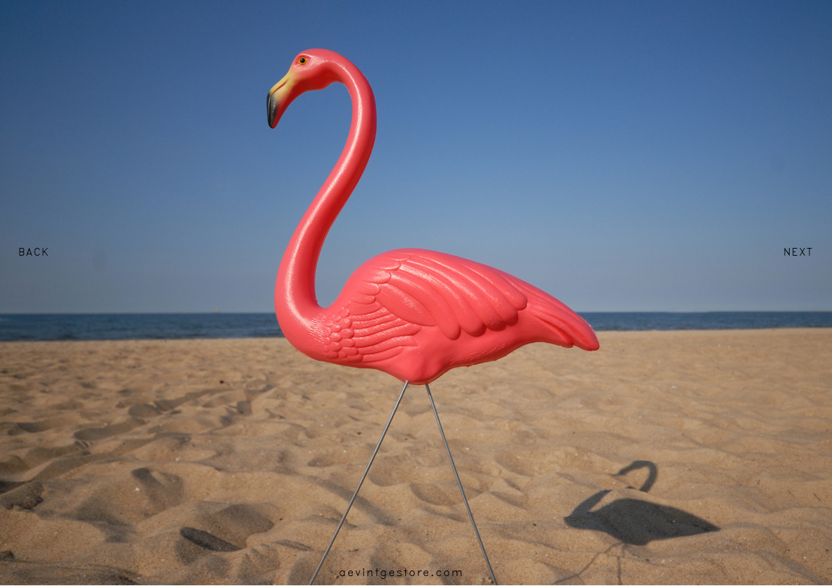 Lookbook flamings pink beach sea