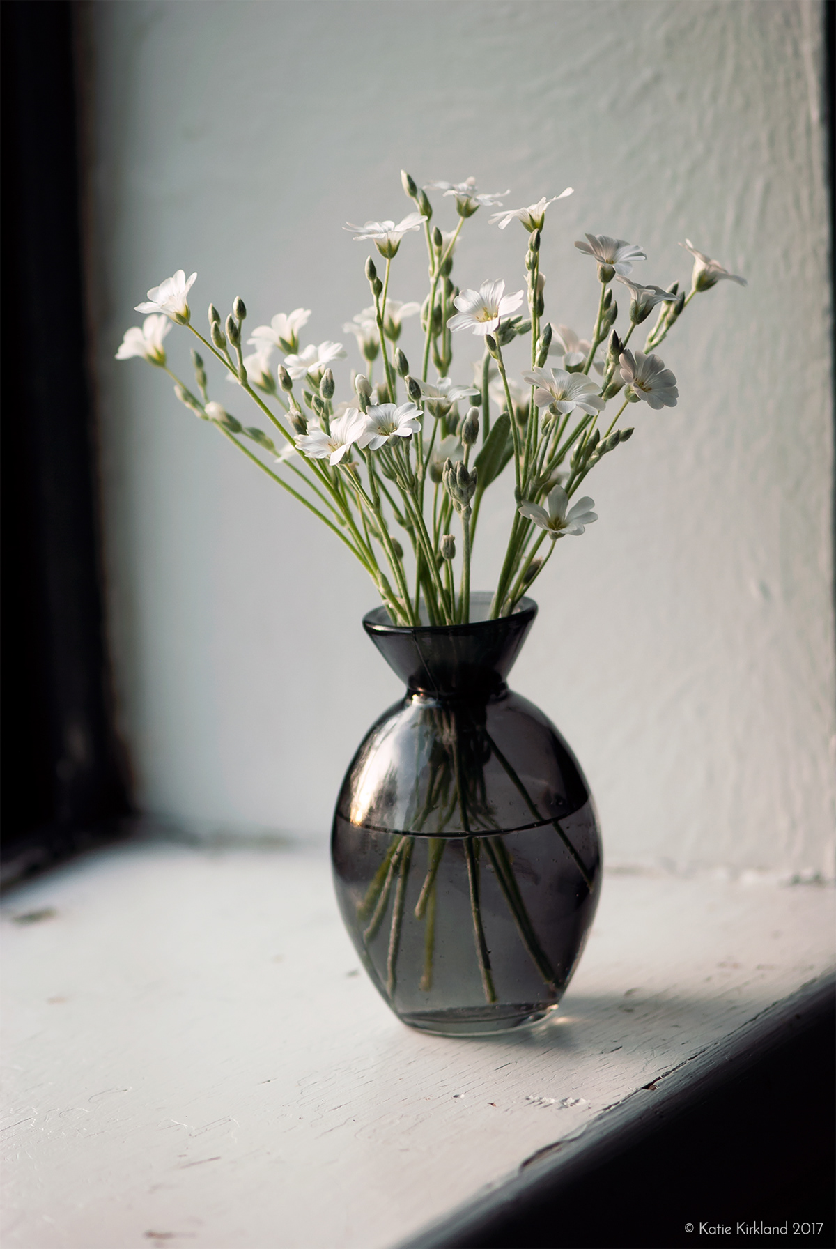 country floral Flowers green grey Interior macro Nature still life White