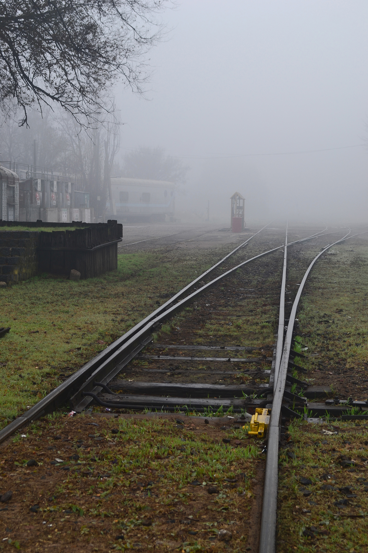 tren ferroviario vias relato cuento niebla bruma color foto