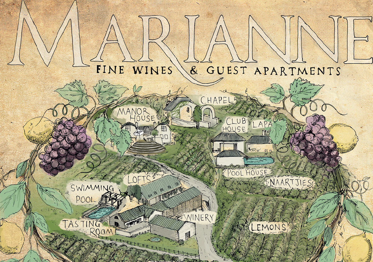 wine farm map digital illustration