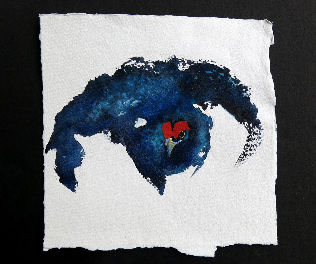 birds blue deckle edges eyes Hunt red The Grouse watercolor watercolorpaper wings
