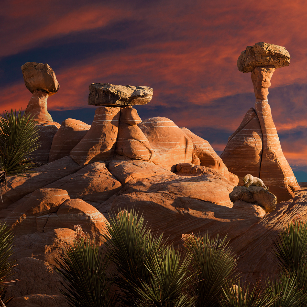 desert psychadelic photomanipulation sunset Landscape western retouching  fantasy Nature southwest