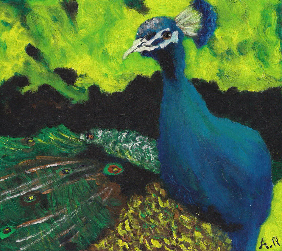 peacock painting   paw