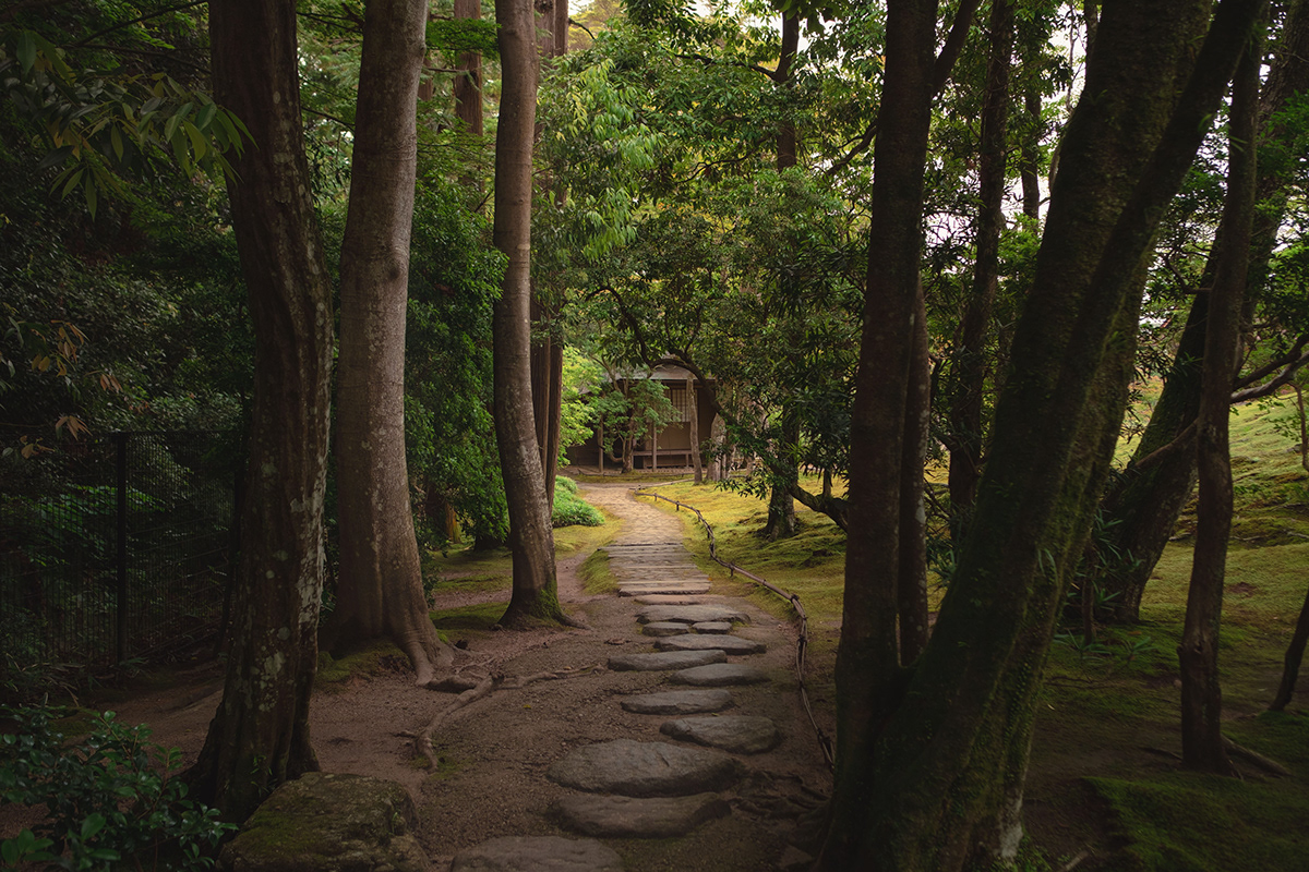 japan photoshop lightroom Nature garden kyoto Travel Landscape Nara fujifilm