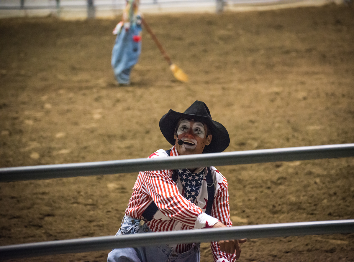 rodeo Bull Riding rodeo clown  horseback riding stunt riding  bulls horses clown
