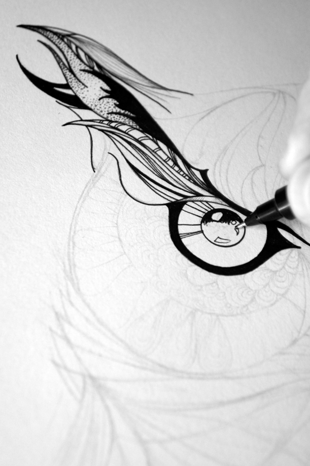 owl black & white bird Nature feathers wings wildlife pen pencil eyes line