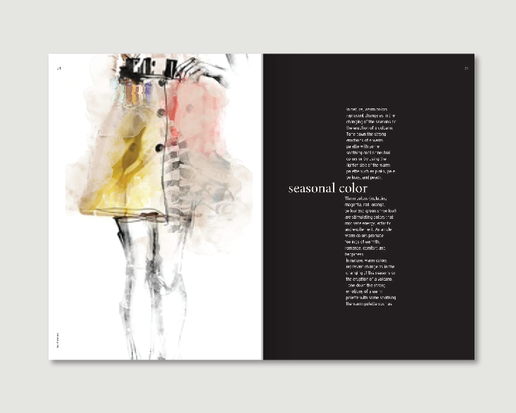 Color Analysis color fashion style design editorial book seasons Workshop