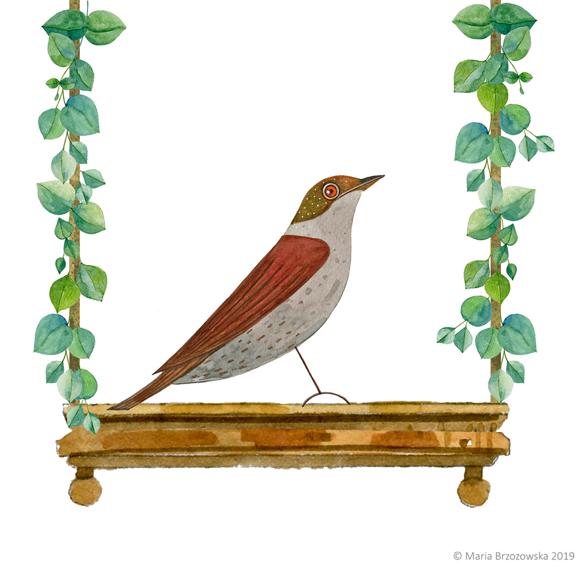 ILLUSTRATION  painting   birds Nature plants fairy tale digital illustration watercolor photoshop Illustrator