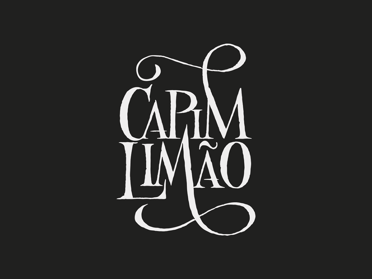 lettering Logo Design handwritten script logo brush-pen handmade caligrafia brand Logotype Logotipo Best of amazing