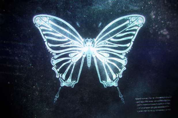 x-ray butterfly roentgen fantasy