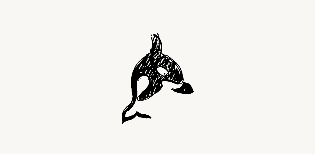 Whale orca logo draw brand