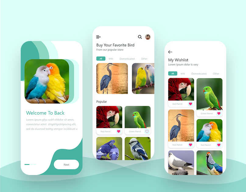 Birds buy and sell app on Behance
