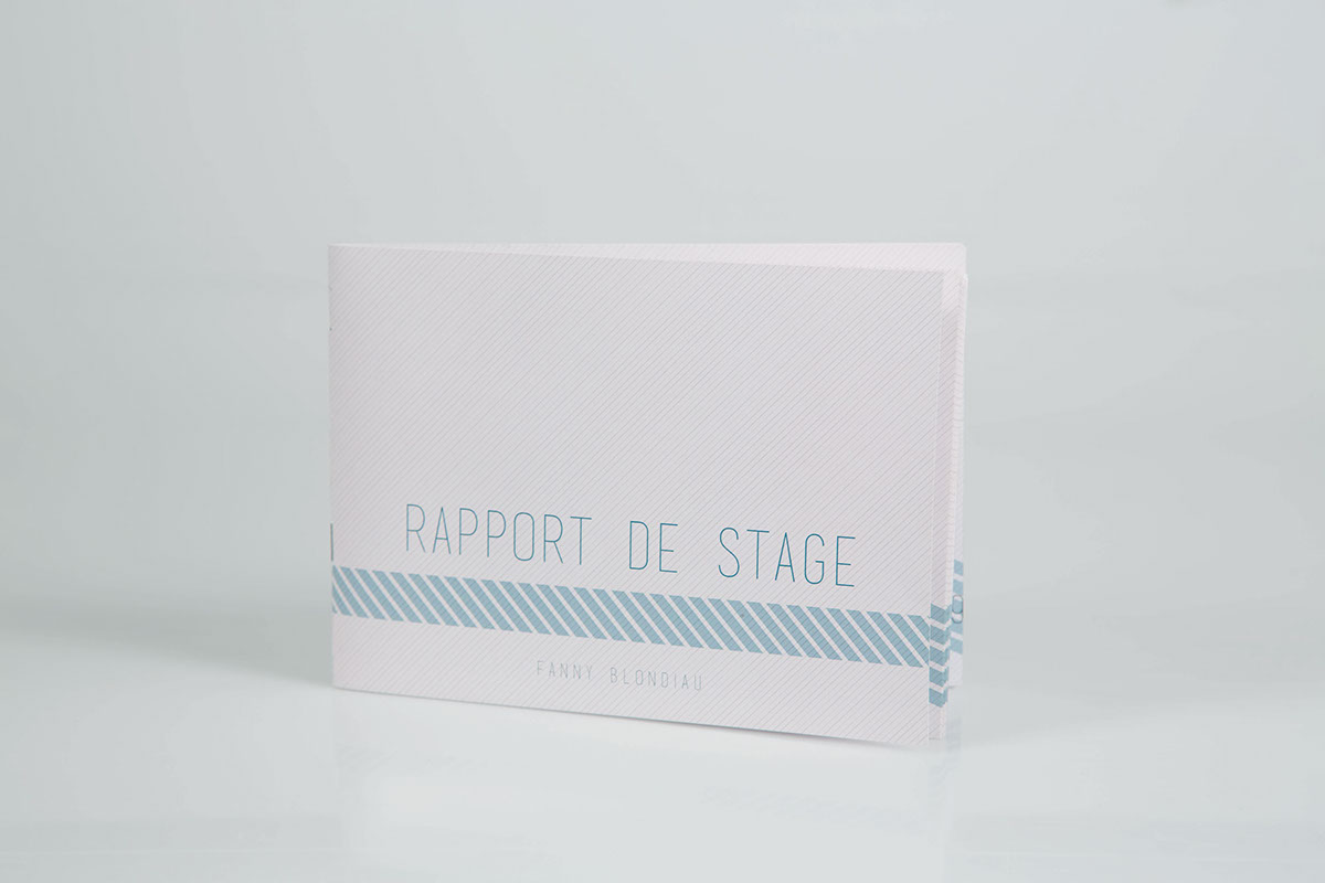 rapport de stage Stage