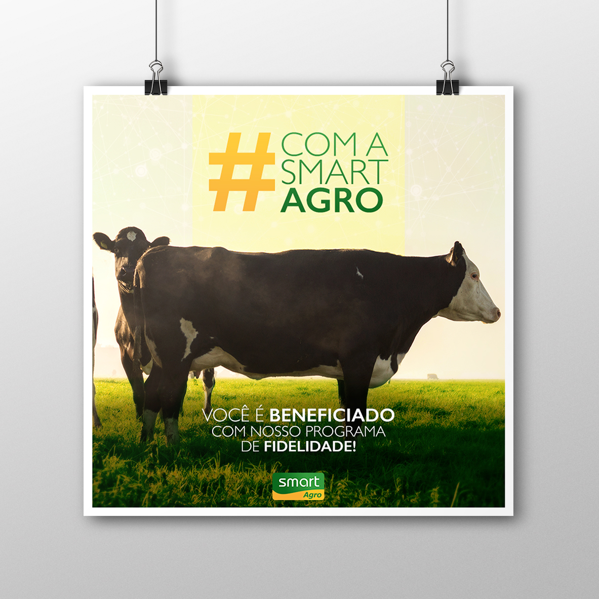 Agro Nelore farm poster design bull boi