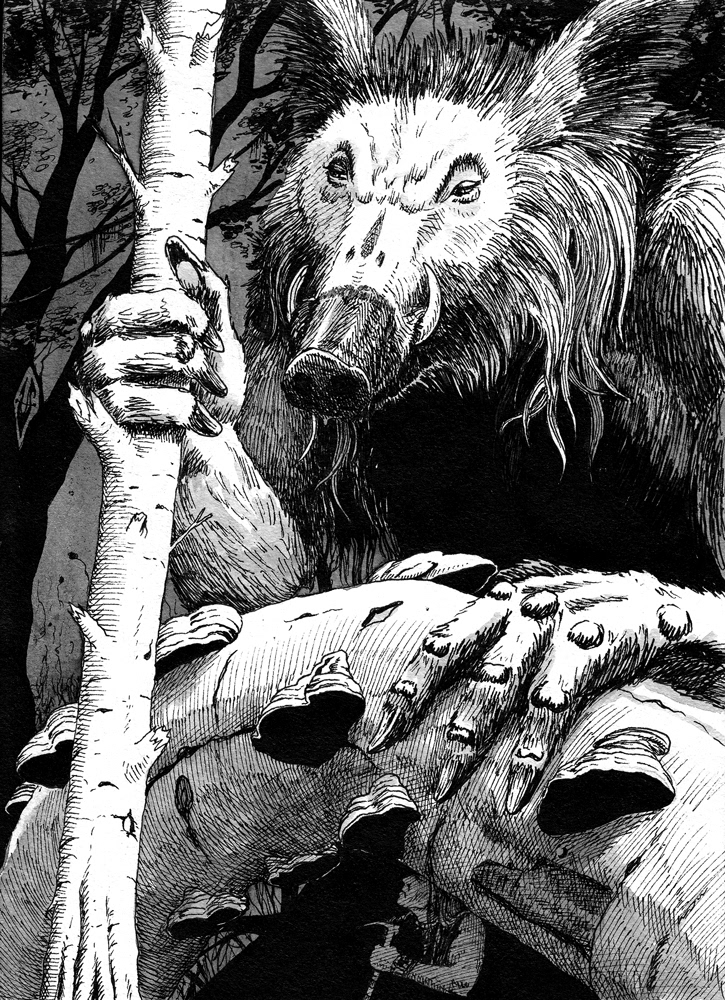 fantasy Robert Holdstock Mythago Wood book illustration