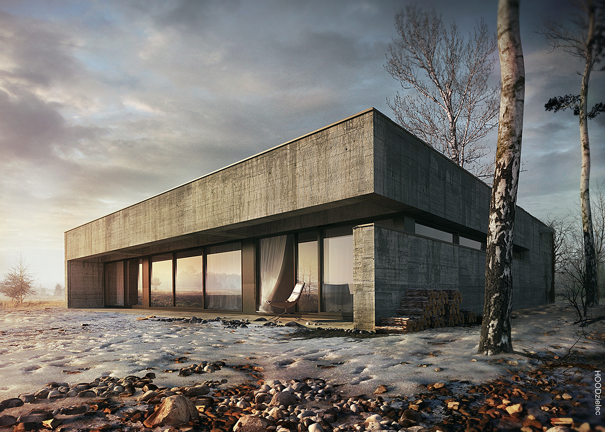 arch vis graphic visualization house rendering Render concrete