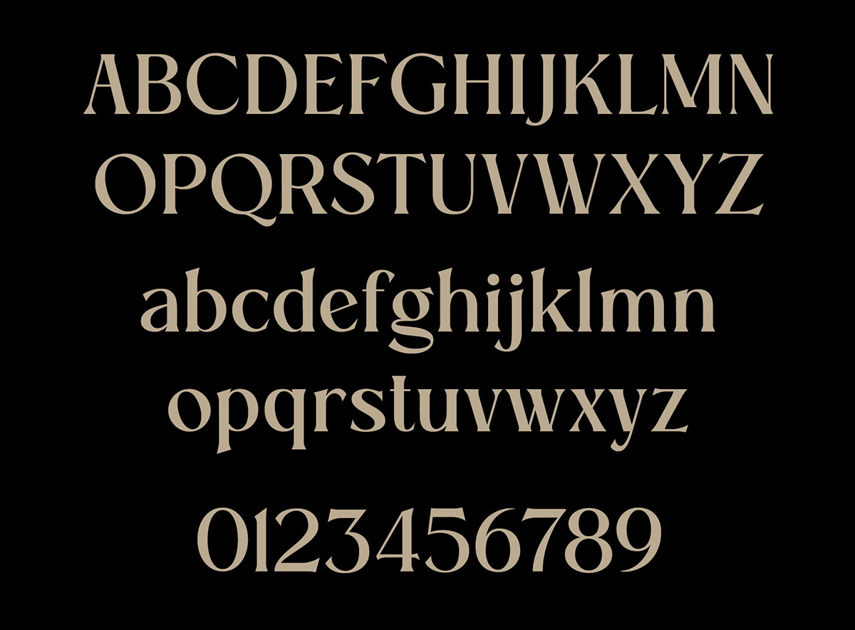 Typeface font typography   Free font serif font design Logotype logo display font editorial