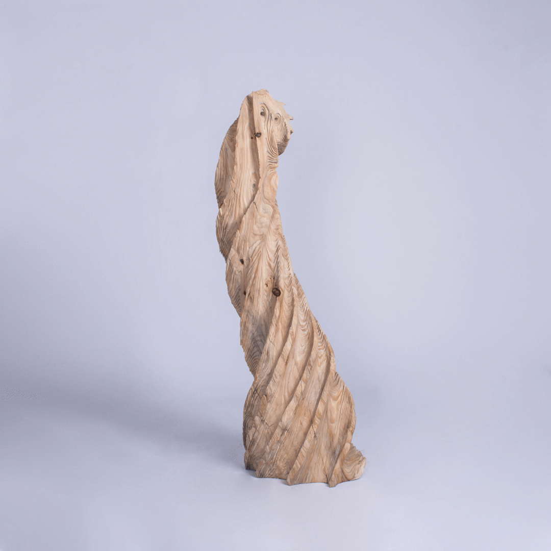 nusart art woodenart woodensculpture wood sculpture sculpting  jannus