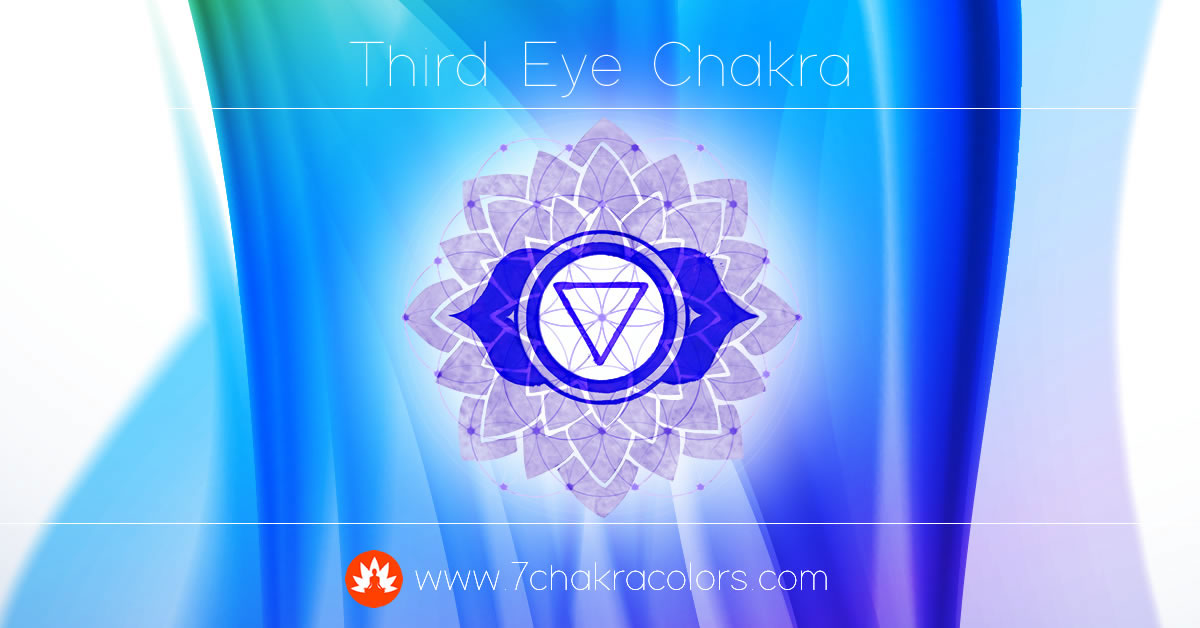 chakra chakras colors branding  design ILLUSTRATION  Website