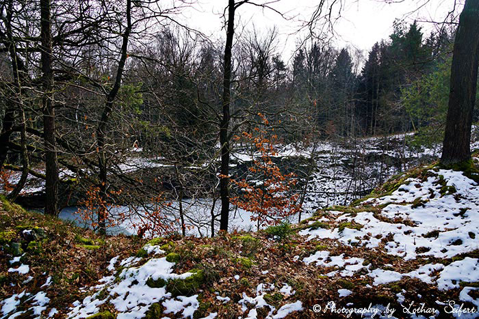 winter saxony walk forest