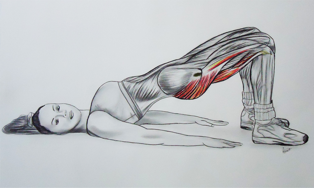 anatomia desenho anatomico musculos academia